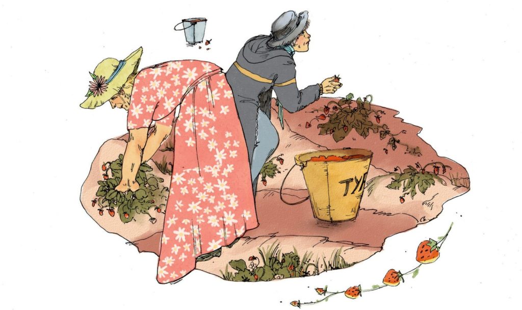 иллюстрация сбора клубники в деревне