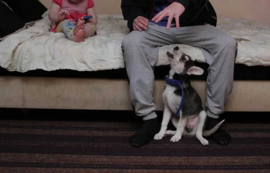 Сергей Кукушкин, собака и его дочь, которой он менял подгузник и у нее из влагалища начала сочиться кровь.