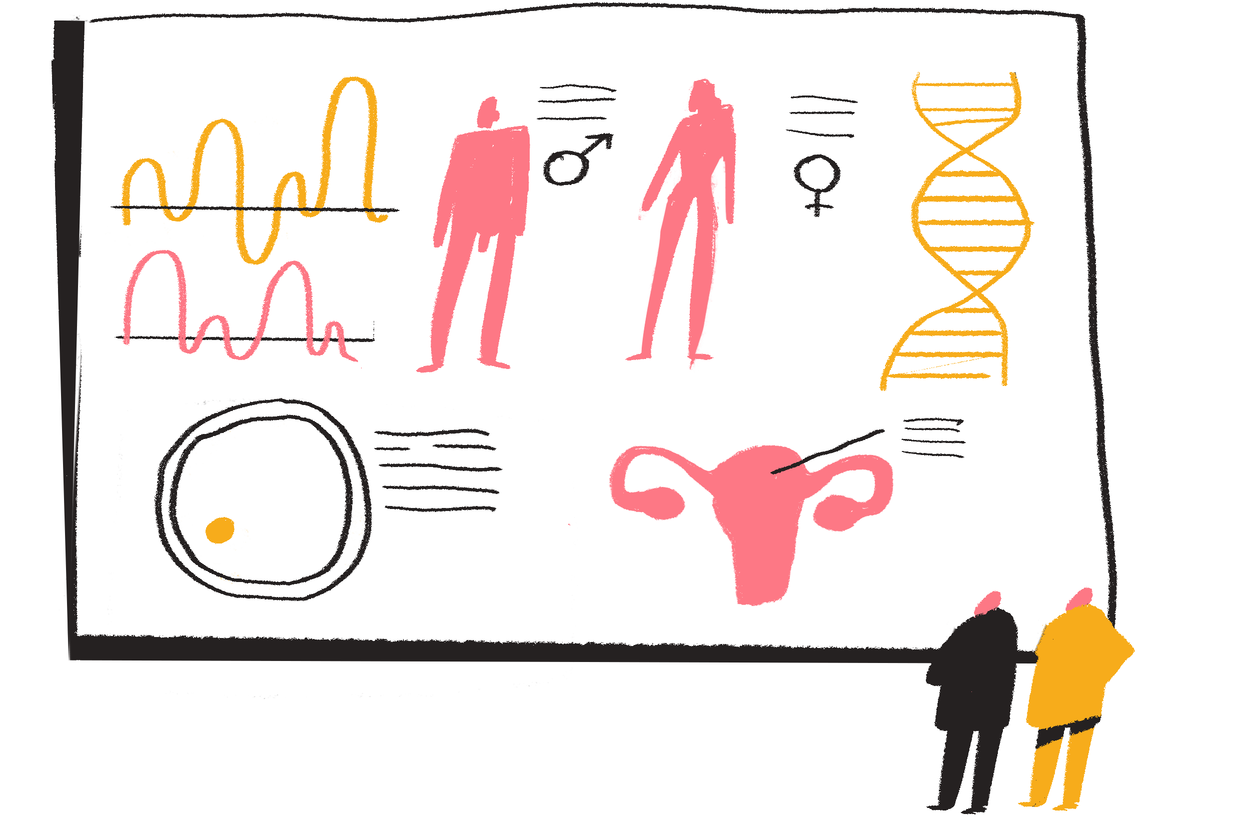 Иллюстрация матки, ооцита и ДНК для процедуры суррогатного материнства