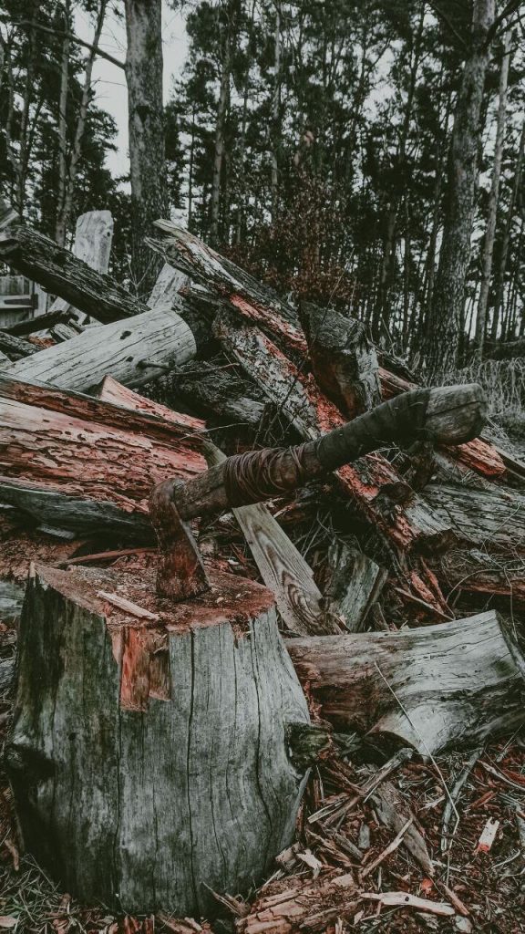Полено, на котором рубили дрова, чтобы согреться, топор и куча поленьев близ города Буча