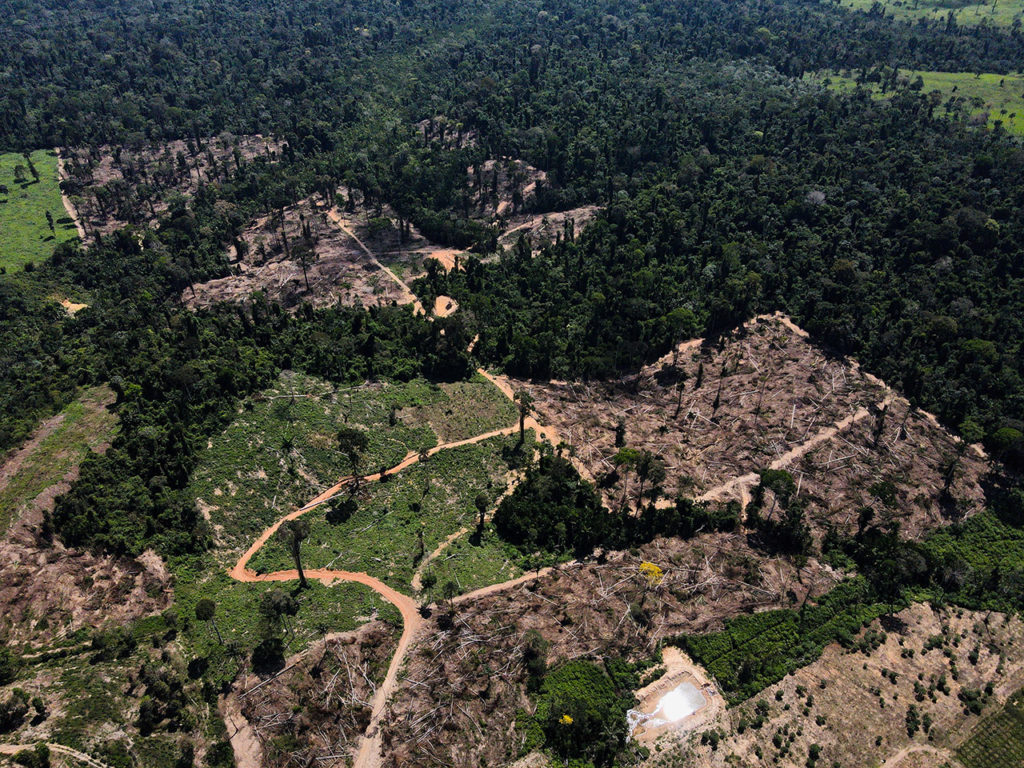 Вырубленный лес в Амазонке для строительства Трансамазонского шоссе, Бразилия, 2021 год