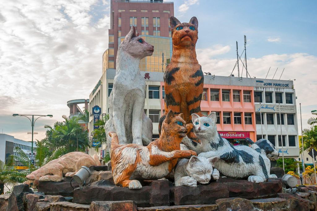 ВОЗ сбросила кошачий десант на Южную Азию