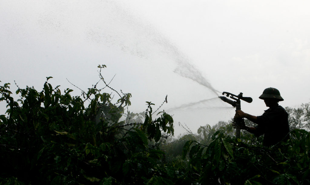 Вьетнамский фермер поливает кофейную плантацию