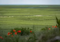 Крупнейший природный эксперимент случайно провели в Украине